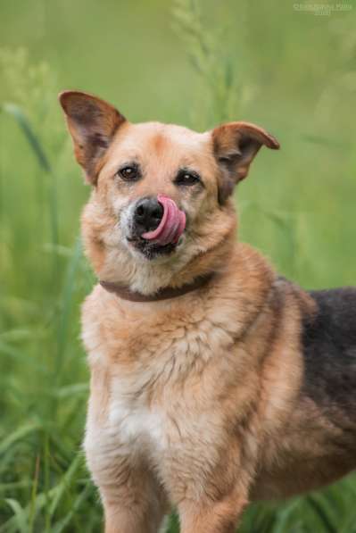 Харизматичный Марк ищет дом в Москве фото 29