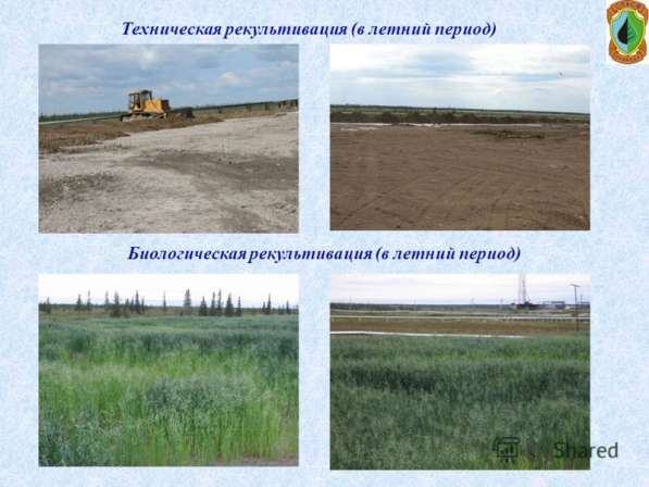 Проекты рекультивации земель и отвалов в Астрахани фото 4