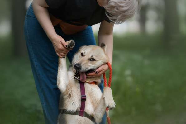 Ищет дом Ромео #ромео_дубоваяроща в Москве фото 33