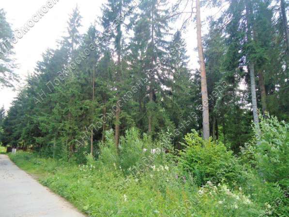 realty_mapper3.plot_in_locationСадовое некоммерческое тов-во. Площадь 20.00 сот.Есть Электричество. в Москве фото 22