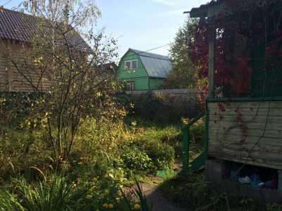 Дача в Ногинске