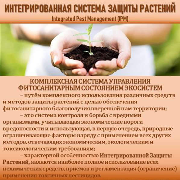 СИСТЕМА УПРАВЛЕНИЯ ФИТОСАНИТАРНЫМ СОСТОЯНИЕМ ЭКОСИСТЕМ в Сочи фото 24
