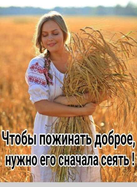 Продам семена ячменя, заводской подготовки в фото 4