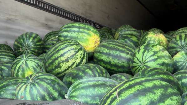 Иранские овощи и фрукты оптом в Москве