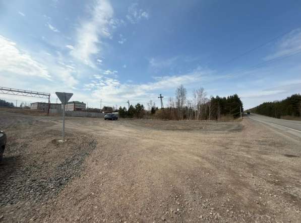 Ферма / Конюшня / Эко-хозяйство в Красноярске фото 7