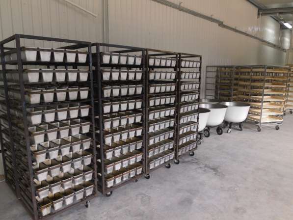Полный комплект оборудования для хлебопекарного производства в Твери фото 4