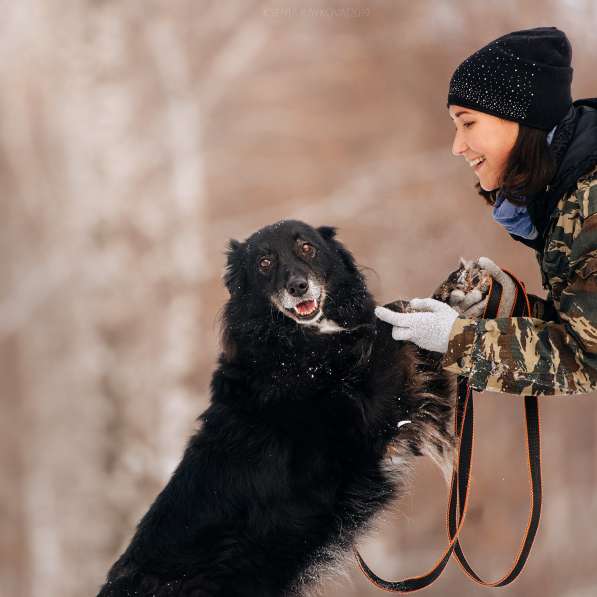 Весёлая, ласковая Чукча ищет семью в Москве фото 55