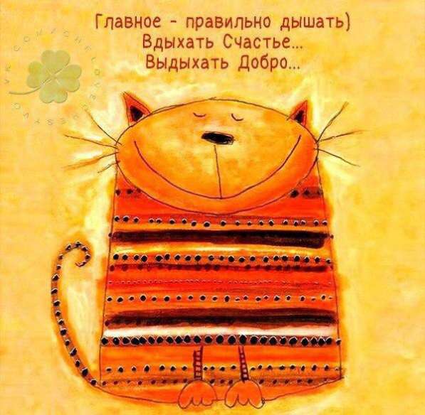 Домик для кошки
