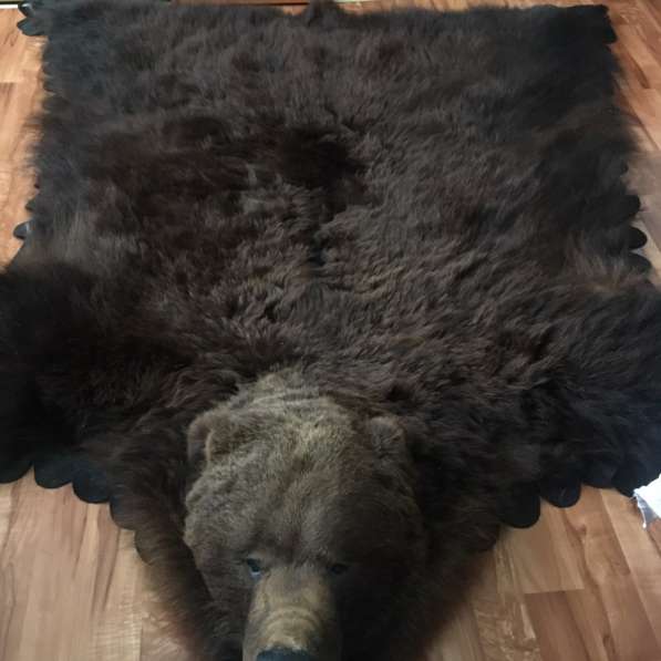 Шкура медведя в Красноярске