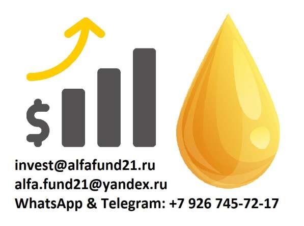 Привлечение инвестиций в нефтяную отрасль