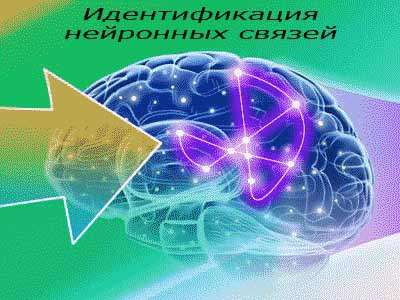 Активация мозга Учащимся в Нижнем Новгороде фото 3