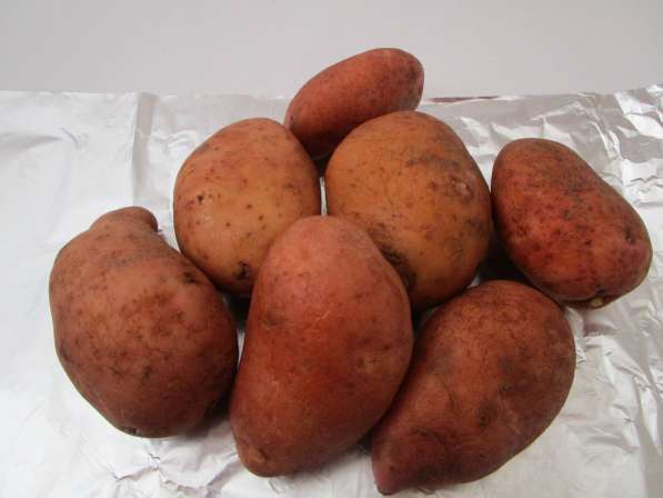 Картофель отборный с приусадебного участка