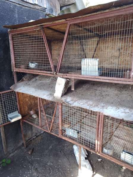 Клетки для кроликов в Балашове