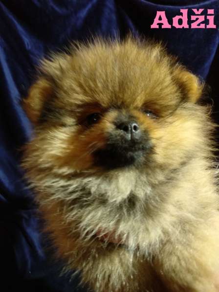 Мальчик в фото 6