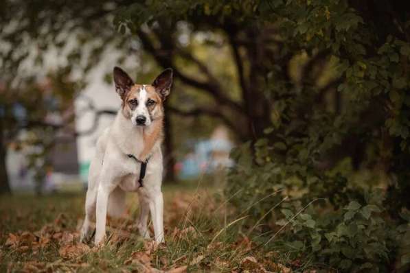 Тунис в поисках любящей семьи в Москве фото 35