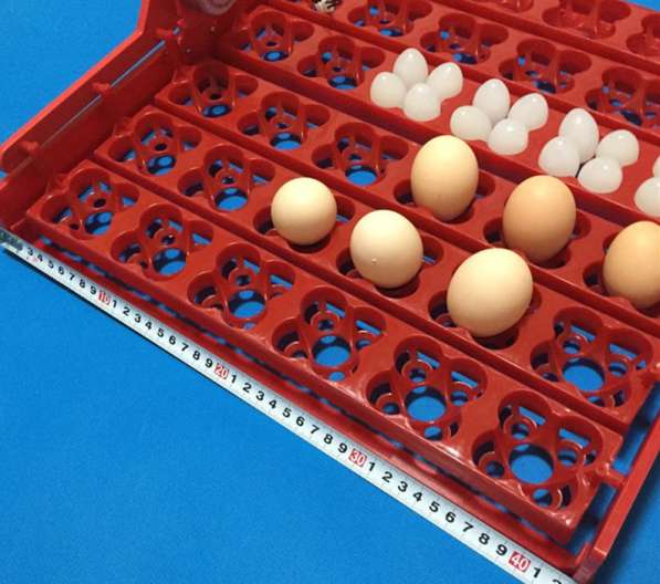 Лотки с переворотом для инкубатора на 36-144 яиц универсальн в Астрахани фото 11