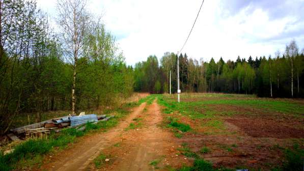 Участок 15 соток, ИЖС, коммуникации, со своим еловым лесом в Смоленске фото 4