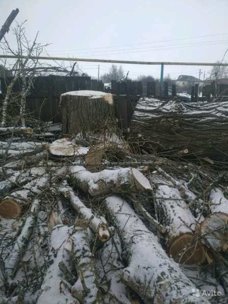 Спил (удаление) деревьев. Расчистка участков, покос в Белгороде фото 8