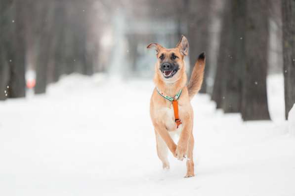 Чудесная Бриа ищет семью в Москве фото 12