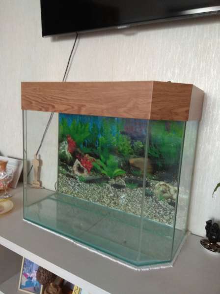 Продаю аквариум на 100 литров в Новосибирске фото 3