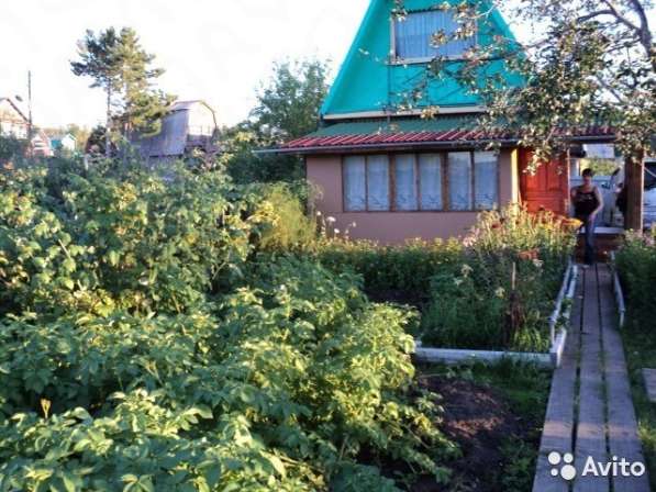 Продаю дачу в в Ачинске фото 9