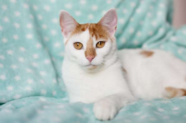 Веселая Ленси в фото 3