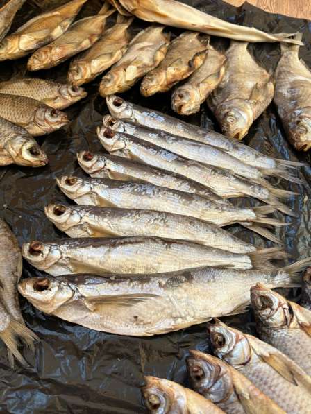 Вяленая рыба вобла, красноперка, щука, судак и др
