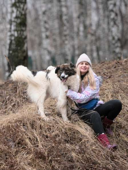 Пушистая красавица Электра ищет семью в Москве фото 17