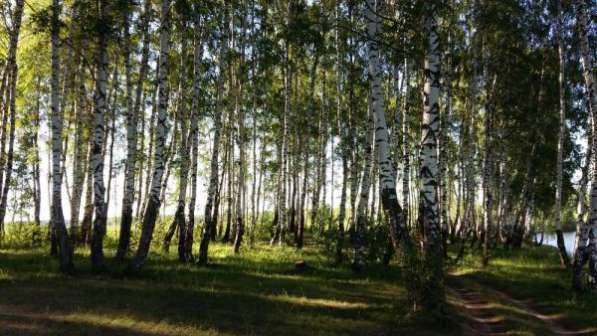 Дачный поселок Малинки в Воскресенске