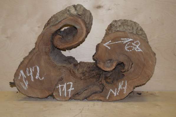 Поперечные спилы карагач, влажность 6-8% в Москве