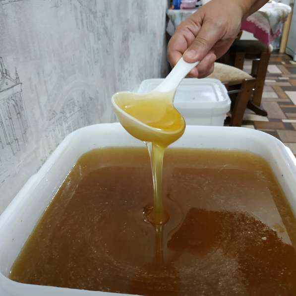 Продажа меда в Чернушке фото 4