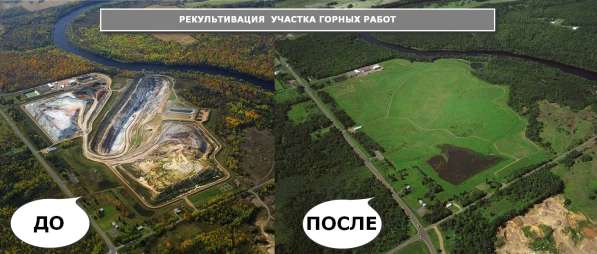 Инновации рекультивации нефтезагрязненных земель и водоемов в Краснодаре фото 5