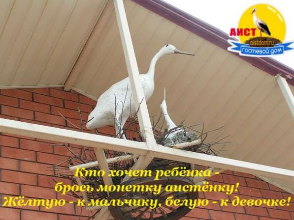 Крым лето саки в Канске фото 9