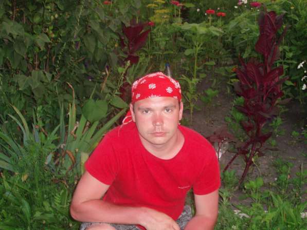 Павел, 34 года, хочет познакомиться в Москве фото 3
