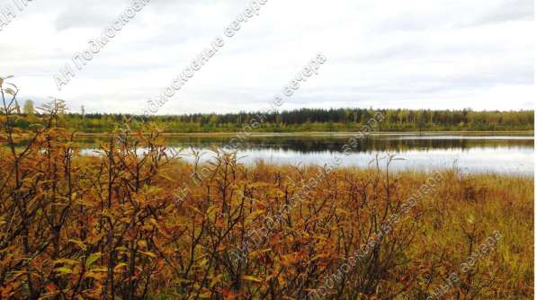 realty_mapper3.plot_in_locationСадовое некоммерческое тов-во. Площадь 12.00 сот.Есть Электричество. в Москве фото 21