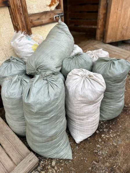 Продам конский навоз