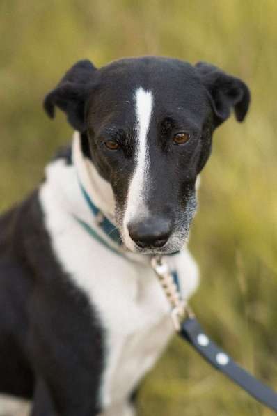 Тихон нуждается в новой истории! в Москве фото 6