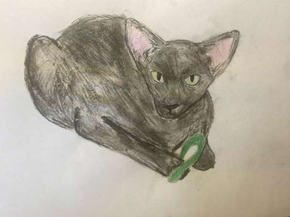 Рисунок по фото питомца в Москве фото 4