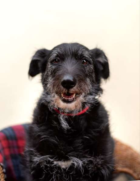 Лиза едет в загородный дом в Москве фото 4