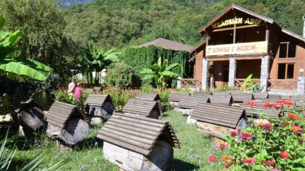 Экскурсии из Голвинки, Вардане и Лоо в Абхазию в Сочи фото 26