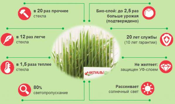 Поликарбонат для теплиц в Альметьевске фото 4