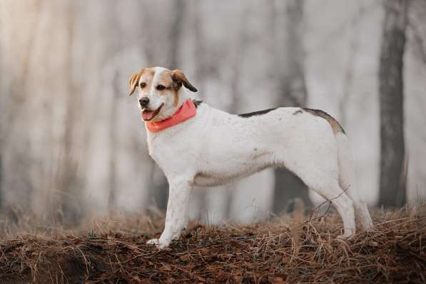 Улыбчивый лучик Фаина ищет семью в Москве фото 10
