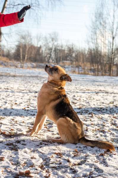 Харизматичный Марк ищет дом в Москве фото 6