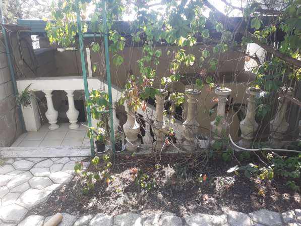 Отдельный номер с двориком в Симеизе в Ялте фото 34