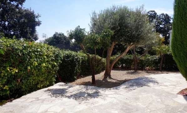 Отдельный дом в Пафосе-Кипр в фото 3