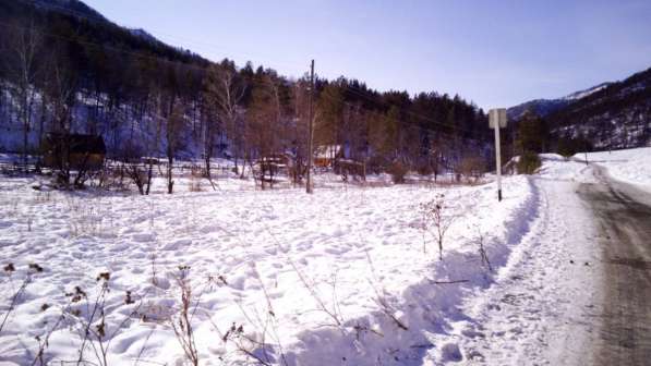 Земельный участок в Горном Алтае 9 гектаров за 5 млн. руб в Горно-Алтайске фото 10