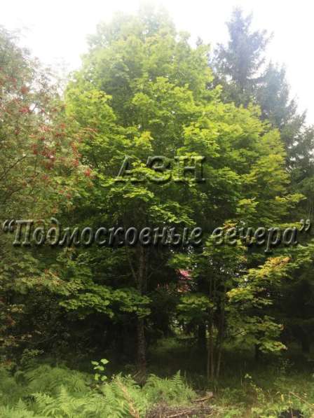 realty_mapper3.plot_in_locationСадовое некоммерческое тов-во. Есть Газ, Водопровод.