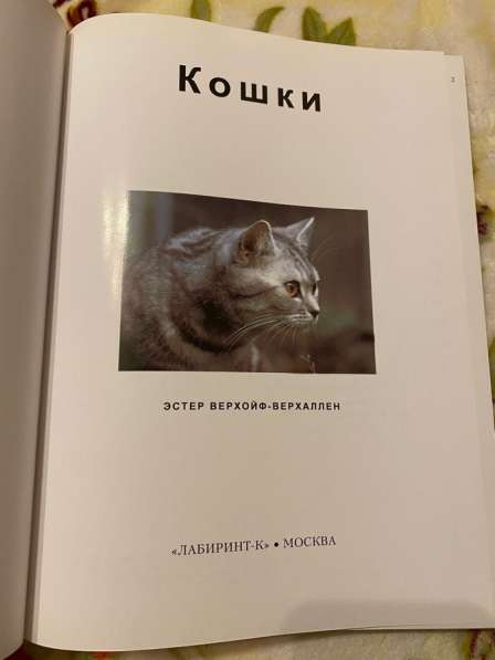 Книга «кошки» в Санкт-Петербурге фото 3