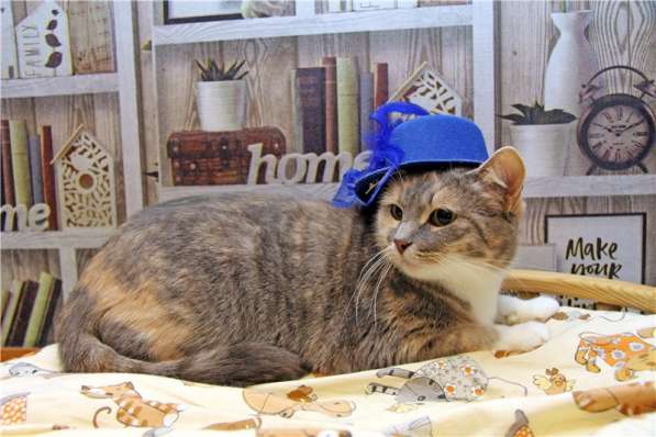 Нежная девочка Грета ищет дом в Москве фото 5