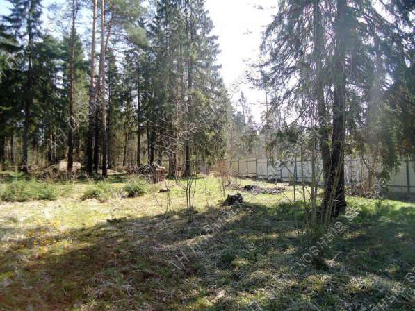 realty_mapper3.plot_in_locationСадовое некоммерческое тов-во. Площадь 20.00 сот.Есть Электричество. в Москве фото 14